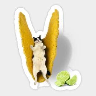 Taco Kitty Cat (Tuxedo Cat) Sticker